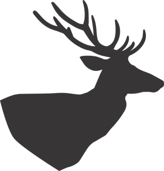 Silhouetteof Deer Profile PNG