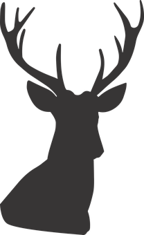Silhouetteof Deerwith Antlers PNG