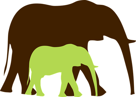 Silhouetteof Elephantand Calf PNG