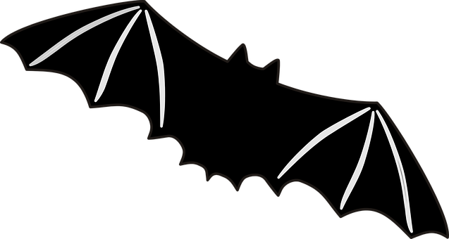 Silhouetteof Flying Bat PNG