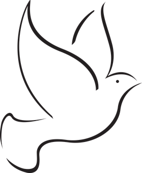 Silhouetteof Flying Bird PNG