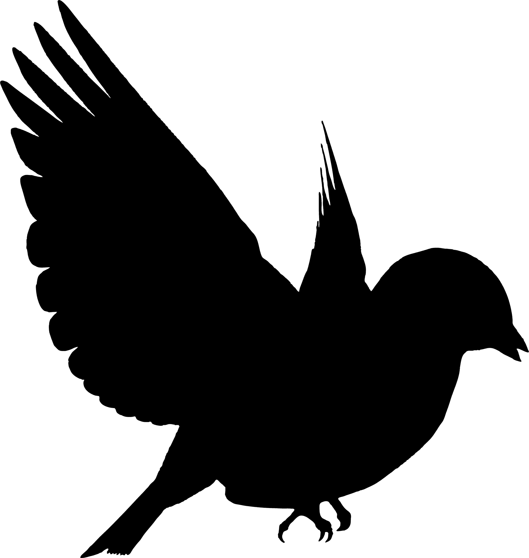 Silhouetteof Flying Black Bird PNG