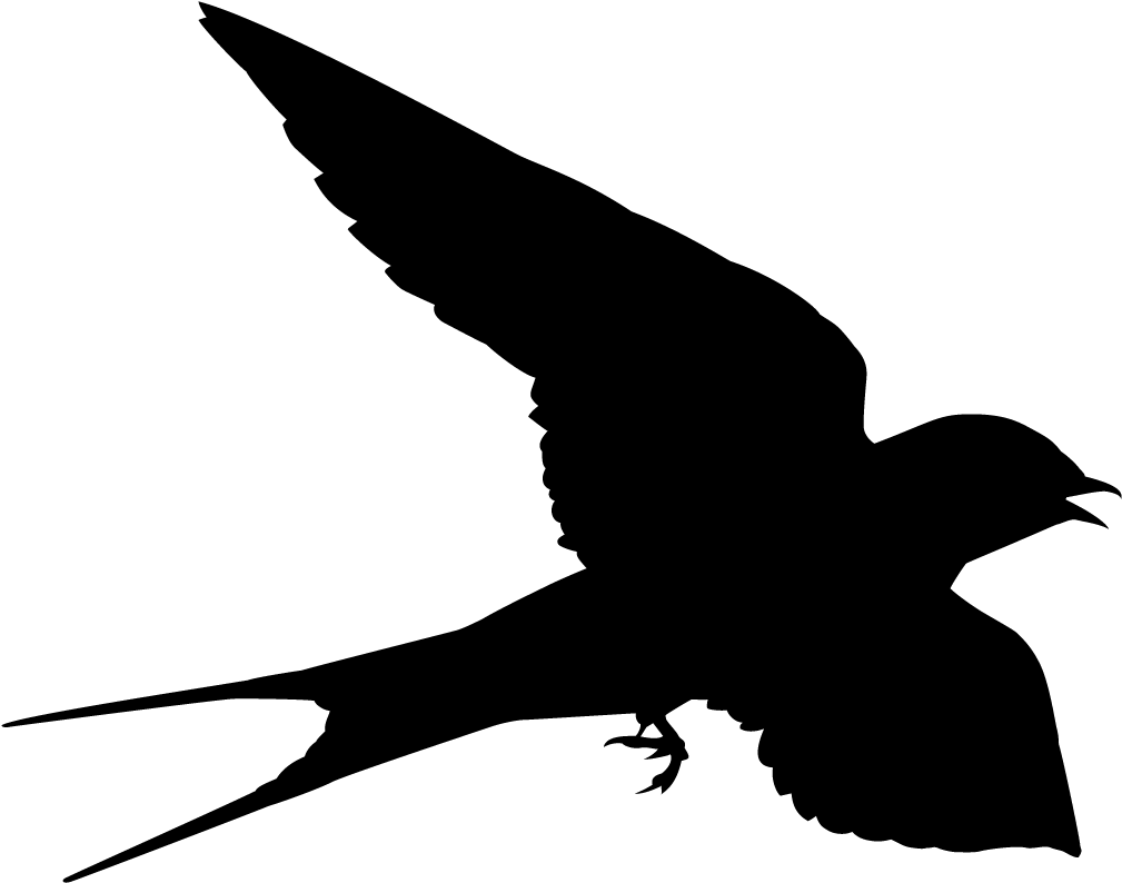 Silhouetteof Flying Black Bird PNG