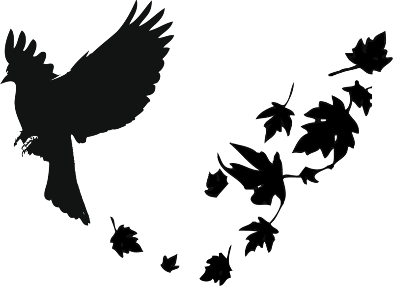 Silhouetteof Flying Black Birdand Leaves PNG