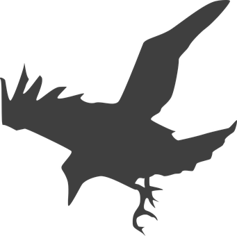 Silhouetteof Flying Crow PNG