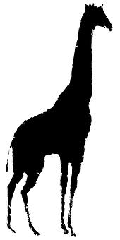 Silhouetteof Giraffe Standing PNG