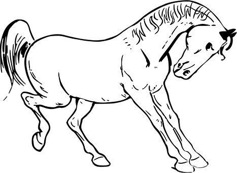 Silhouetteof Grazing Horse PNG