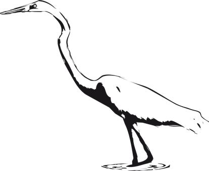 Silhouetteof Heron Standing PNG