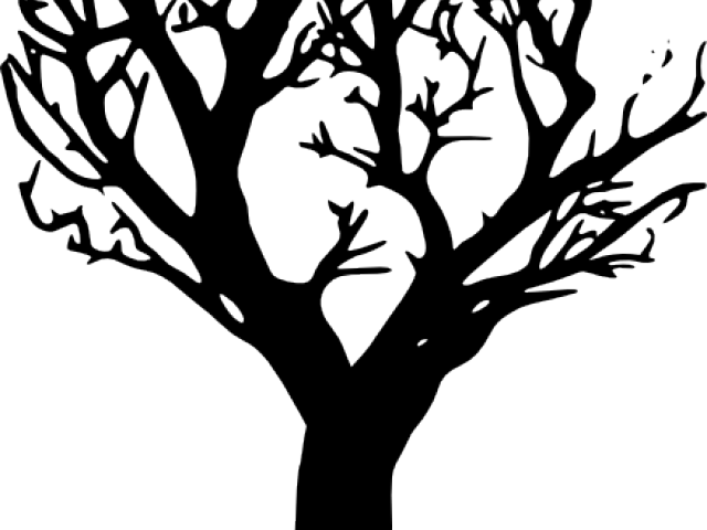 Silhouetteof Leafless Tree.png PNG