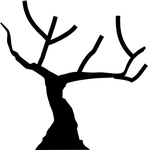 Silhouetteof Leafless Tree PNG