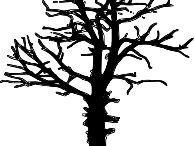 Silhouetteof Leafless Tree PNG