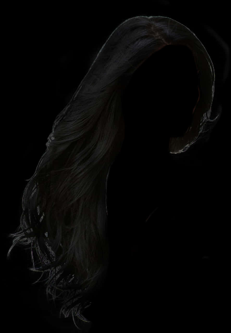 Silhouetteof Long Hairon Black Background PNG