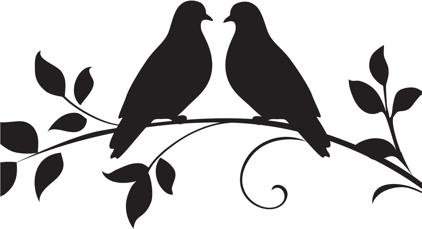 Silhouetteof Lovebirdson Branch PNG