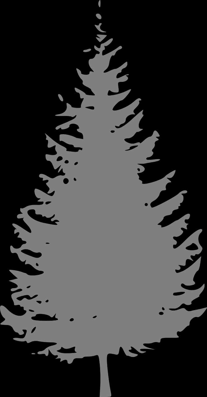 Silhouetteof Pine Tree PNG