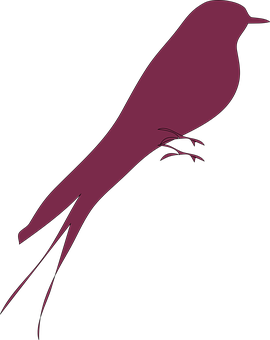 Silhouetteof Purple Bird PNG