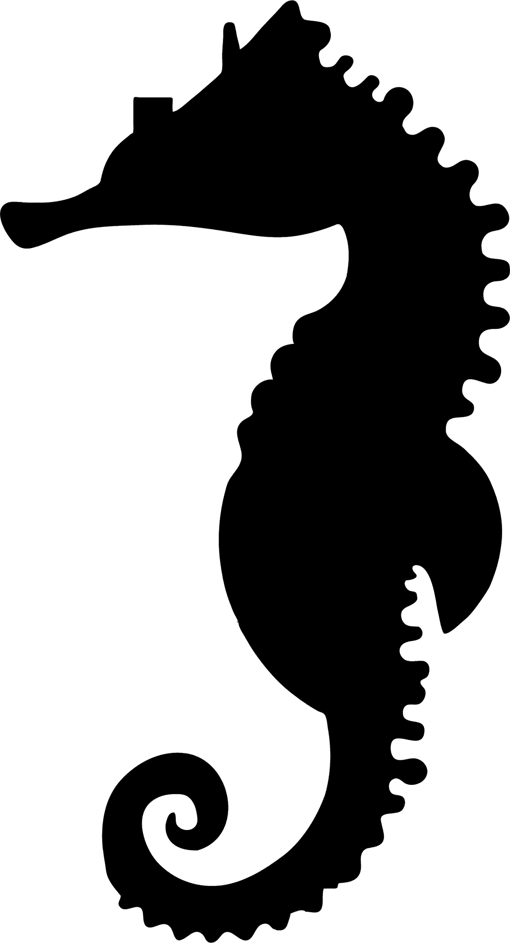 Silhouetteof Seahorse PNG