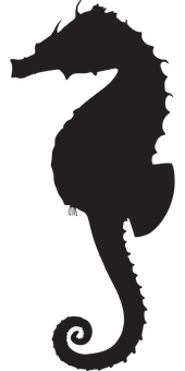 Silhouetteof Seahorseon Black Background PNG