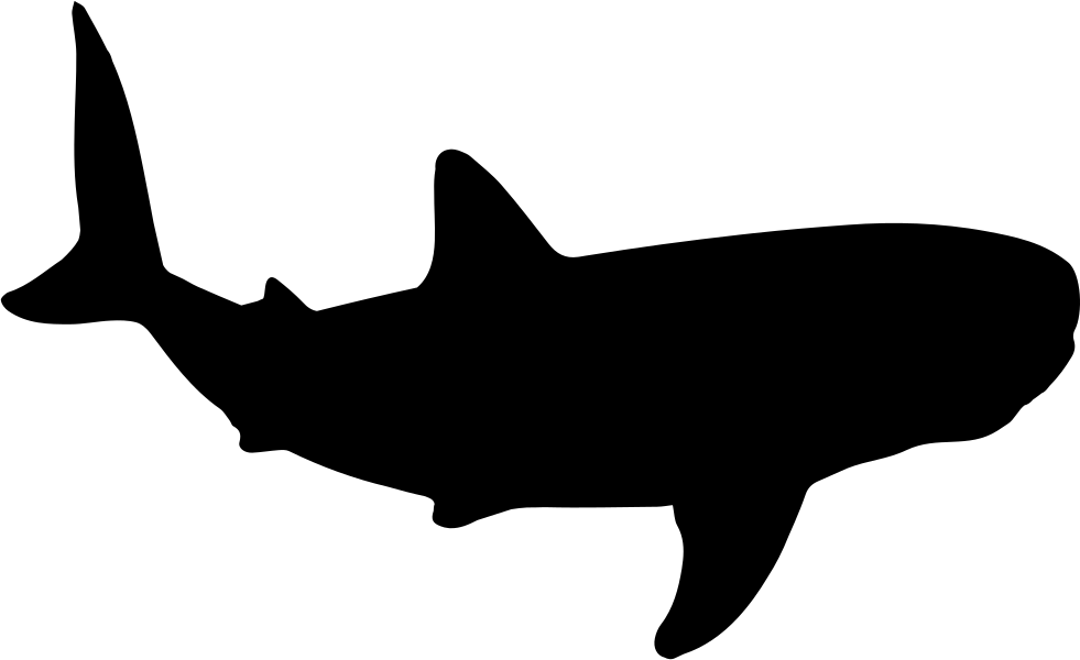 Silhouetteof Shark PNG