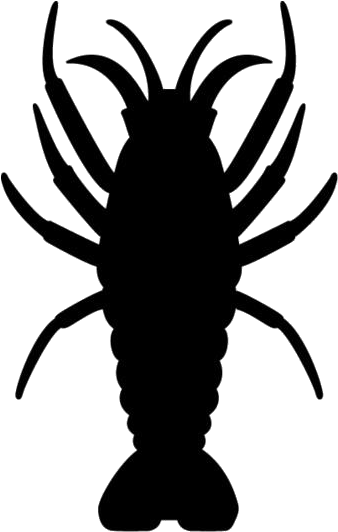 Silhouetteof Shrimp PNG