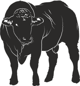 Silhouetteof Standing Bull PNG