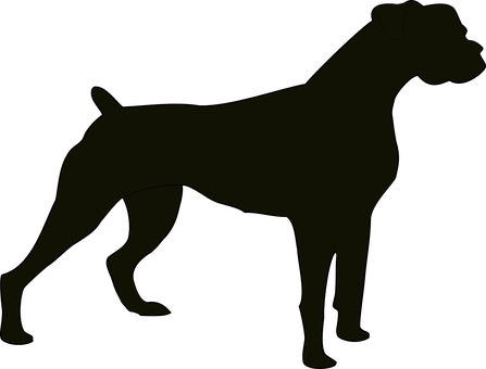 Silhouetteof Standing Dog PNG