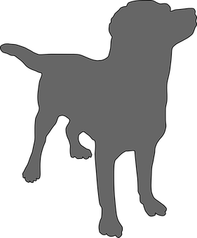 Silhouetteof Standing Dog PNG