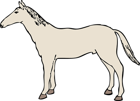 Silhouetteof Standing Horse PNG