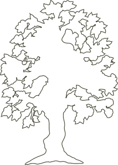 Silhouetteof Tree Blackand White PNG