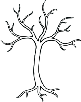 Silhouetteof Treeon Black Background PNG