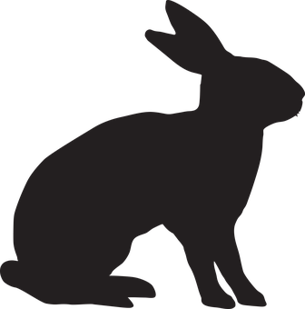 Silhouetteofa Rabbit PNG