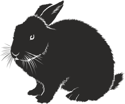 Silhouetteofa Rabbit PNG