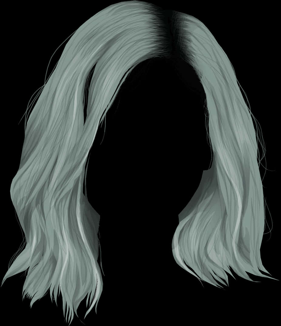 Silhouettewith Flowing Hair PNG