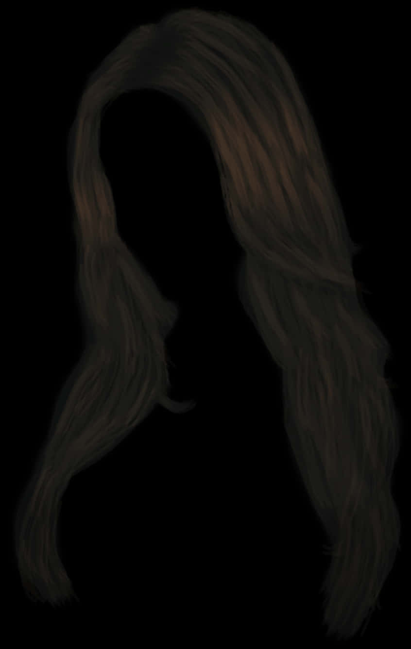 Silhouettewith Long Hair PNG