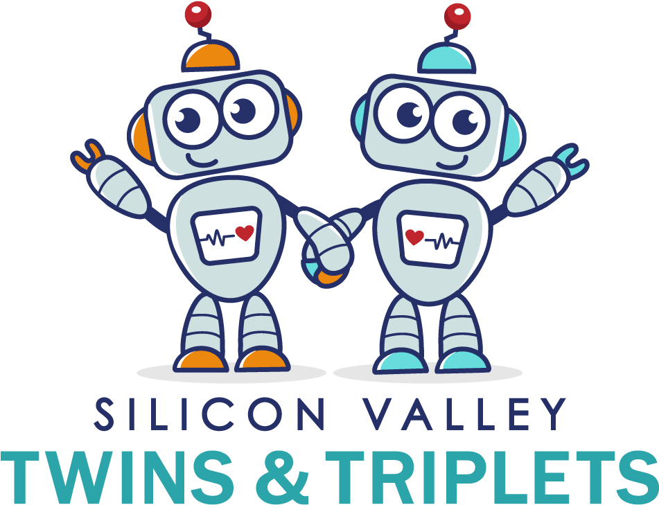 Silicon Valley_ Twins_ Robots_ Vector PNG