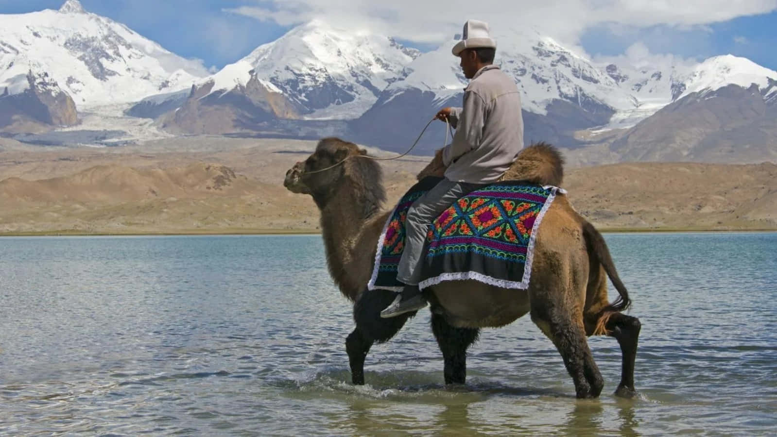 En mand rider en kamel i vandet med bjerge i baggrunden.