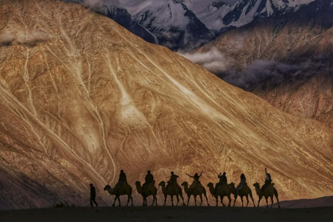 a group of people riding camels in the mountains