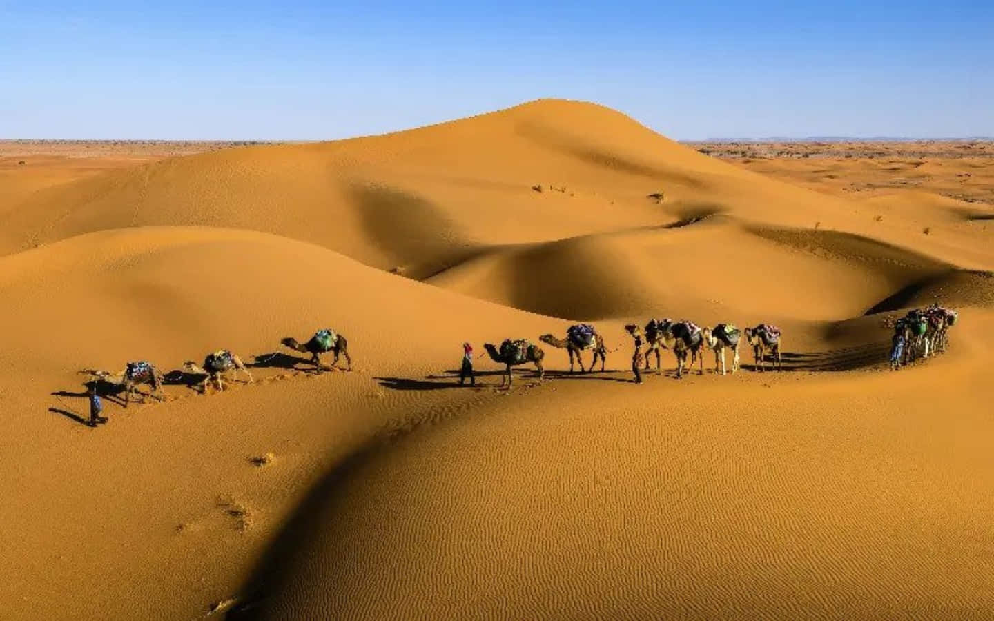 a group of people walking through the desert
