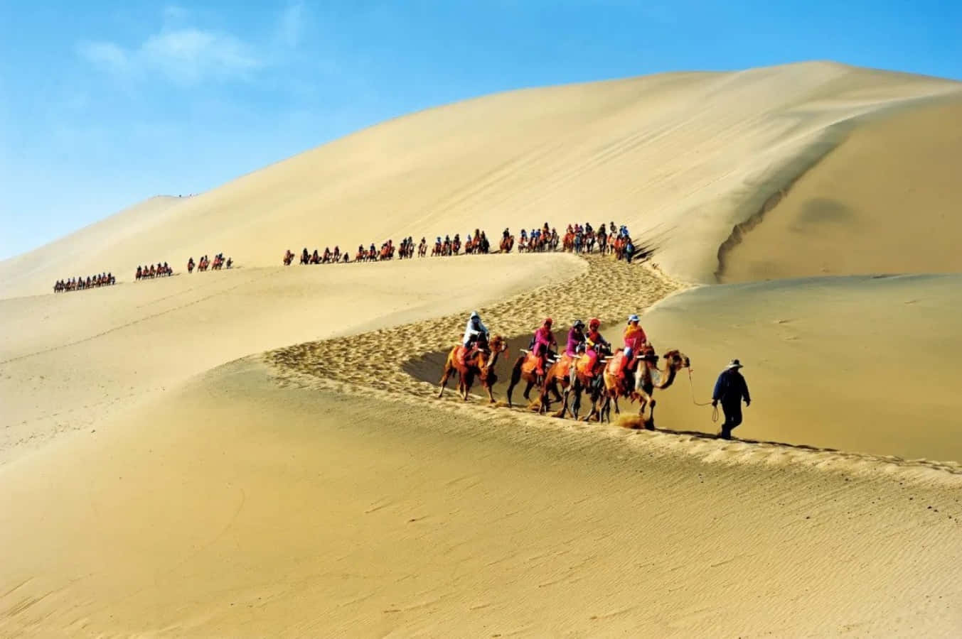 En gruppe mennesker der rider kameler på en ørken sanddune.