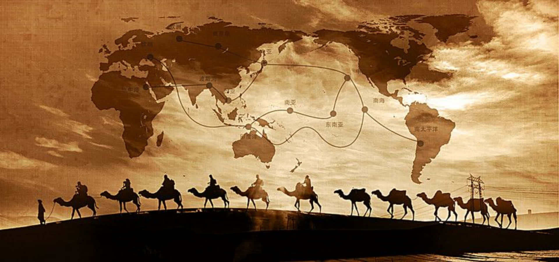 a group of camels with a map of the world