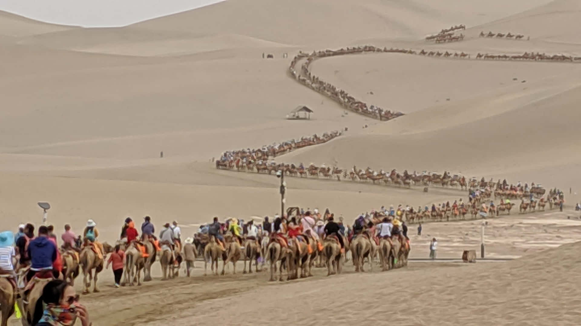 a group of people riding camels down a desert