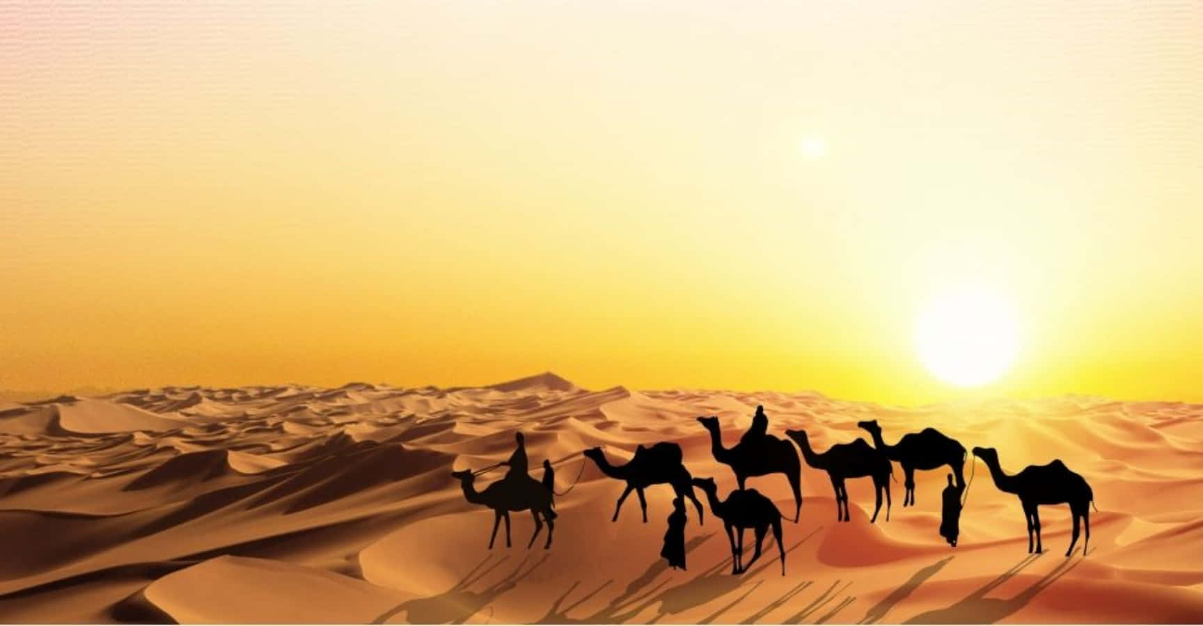 a group of camels walking in the desert at sunset