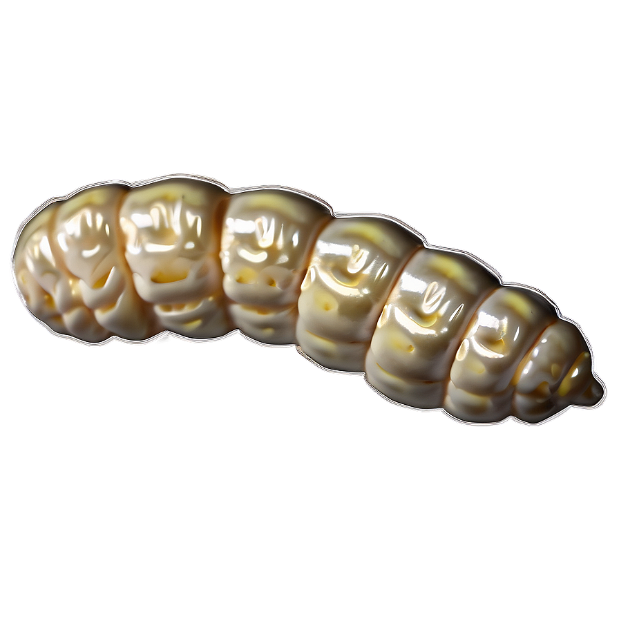 Silkworm Image Png 05242024 PNG