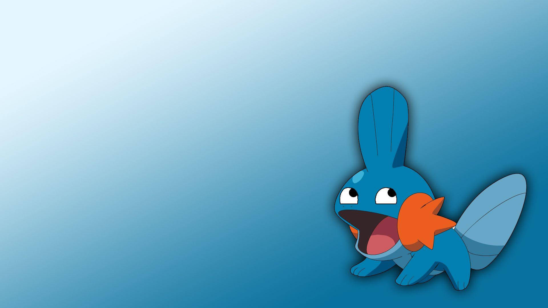 Silly Face Of Mudkip Picture