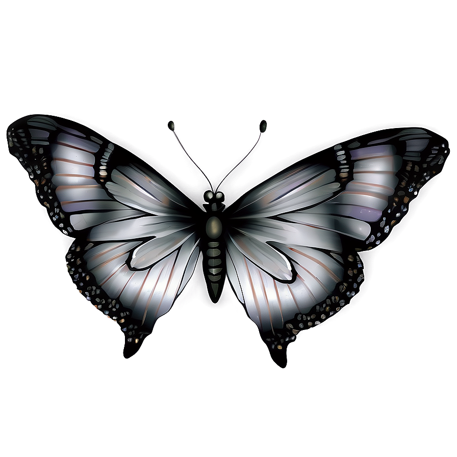 Download Silver Butterflies Png Sit42 | Wallpapers.com