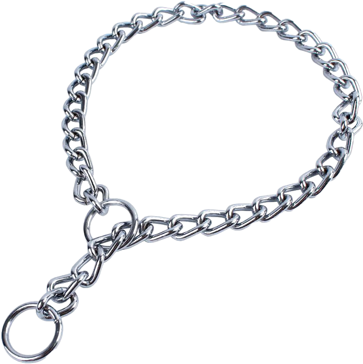 Silver Chain Link Necklace PNG