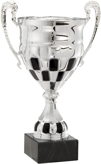 Silver Cricket Trophy PNG