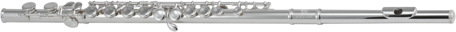 Silver Flute Side View PNG