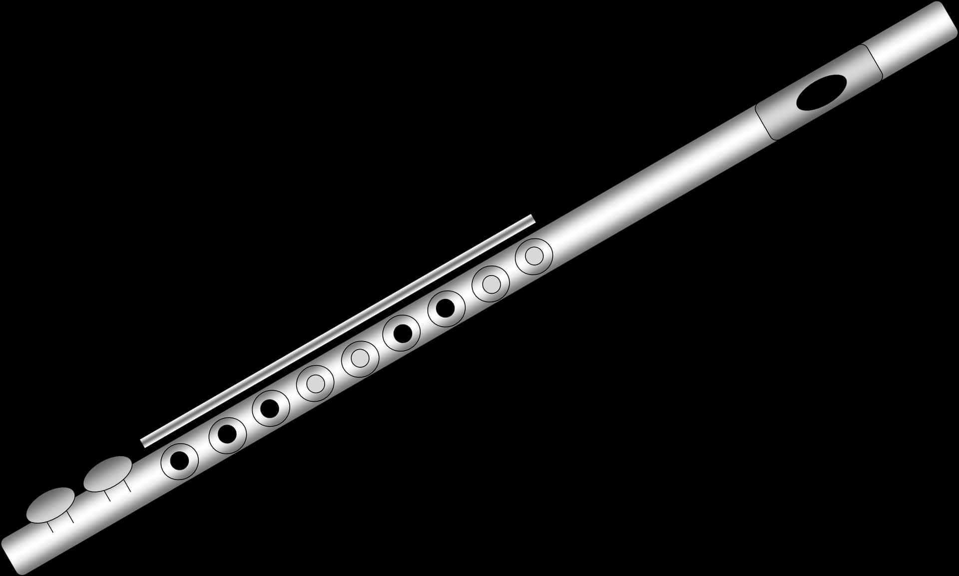 Silver Fluteon Black Background PNG