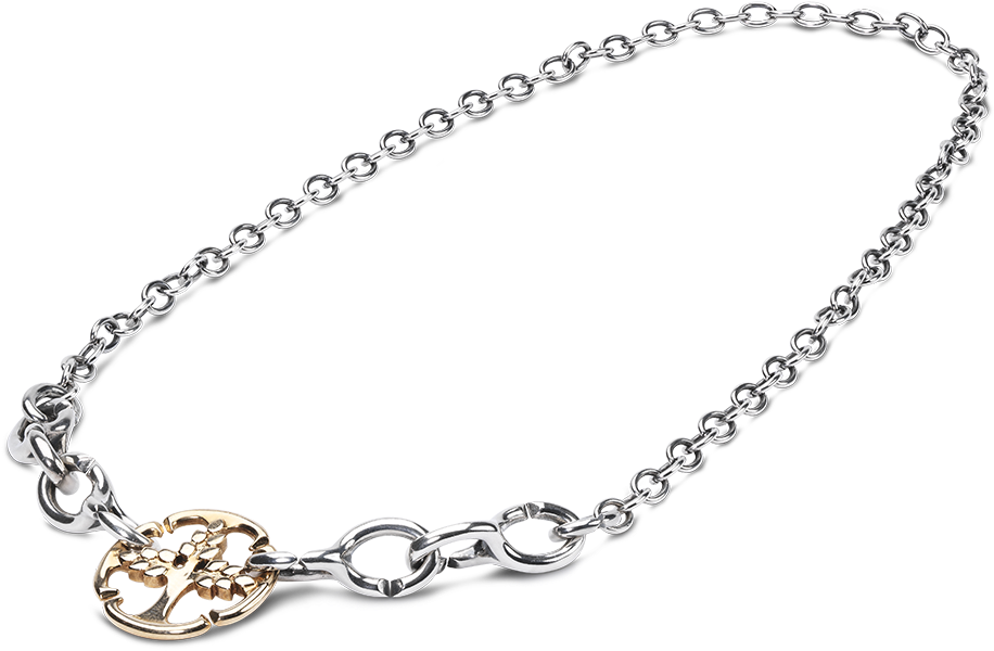 Silver Gold Accent Chain Necklace PNG