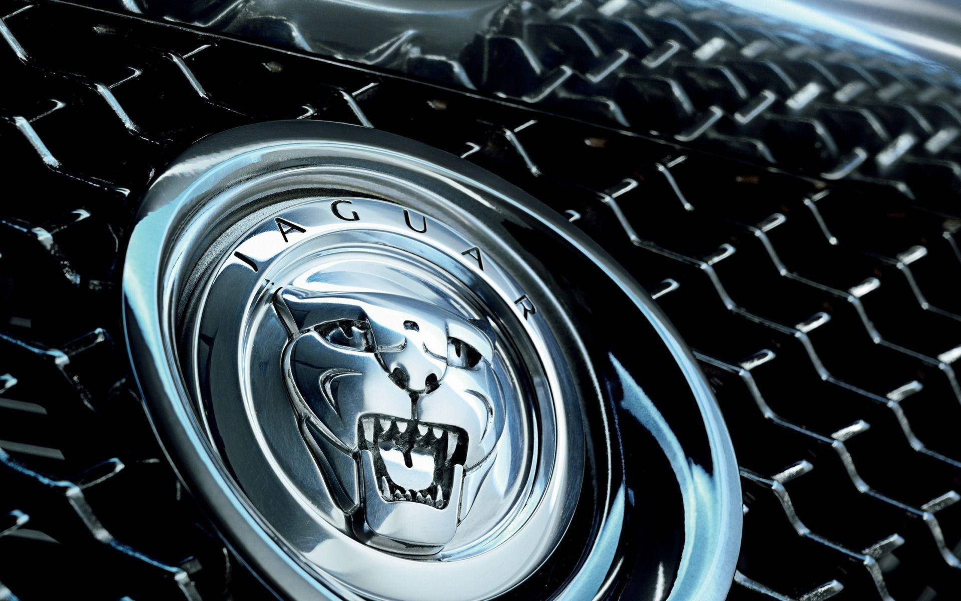 Emblema Del Personaggio Dell'auto Jaguar D'argento Sfondo